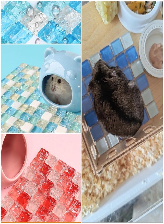 SquEqu 2 Pack Hamster Chiller Glass Stone Hamsters Cooling Pad Dwarf Hamster Bedding Cool Plate Tiles Ice Bed for Rabbits Guinea Pig Gerbil Chinchilla Bunny Ferret and Other Small Animals Small Pets - Image 5